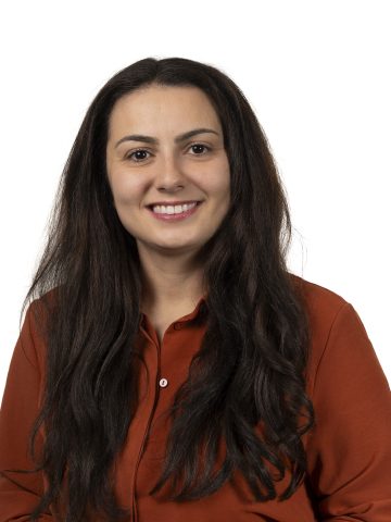 Ani Zalinyan